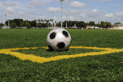 synthetic turf for sports fields