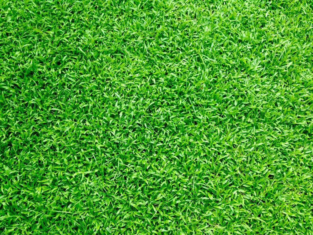 Synthetic Turf Maintenance Guide