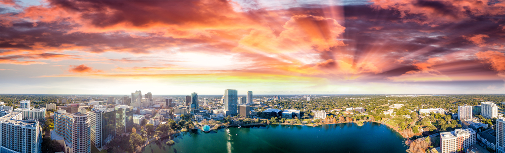 artifical grass in orlando | orlando skyline