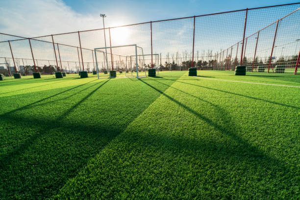 Sports Turf Installation in Boynton