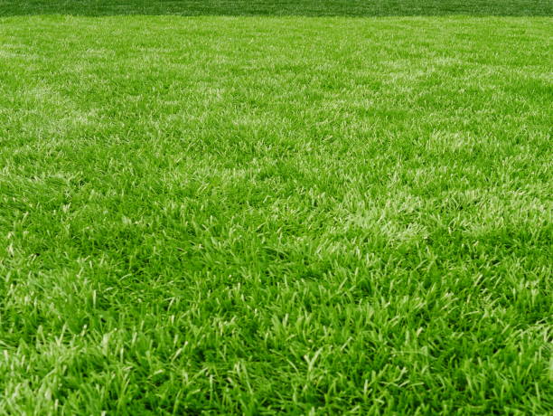 Artificial Turf in Play Areas