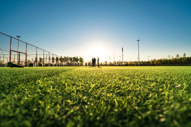 tampa sports turf installation