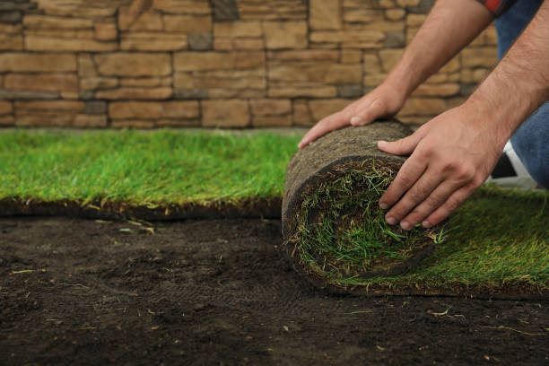 installing artificial turf