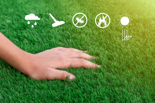 artificial turf repair coral gables