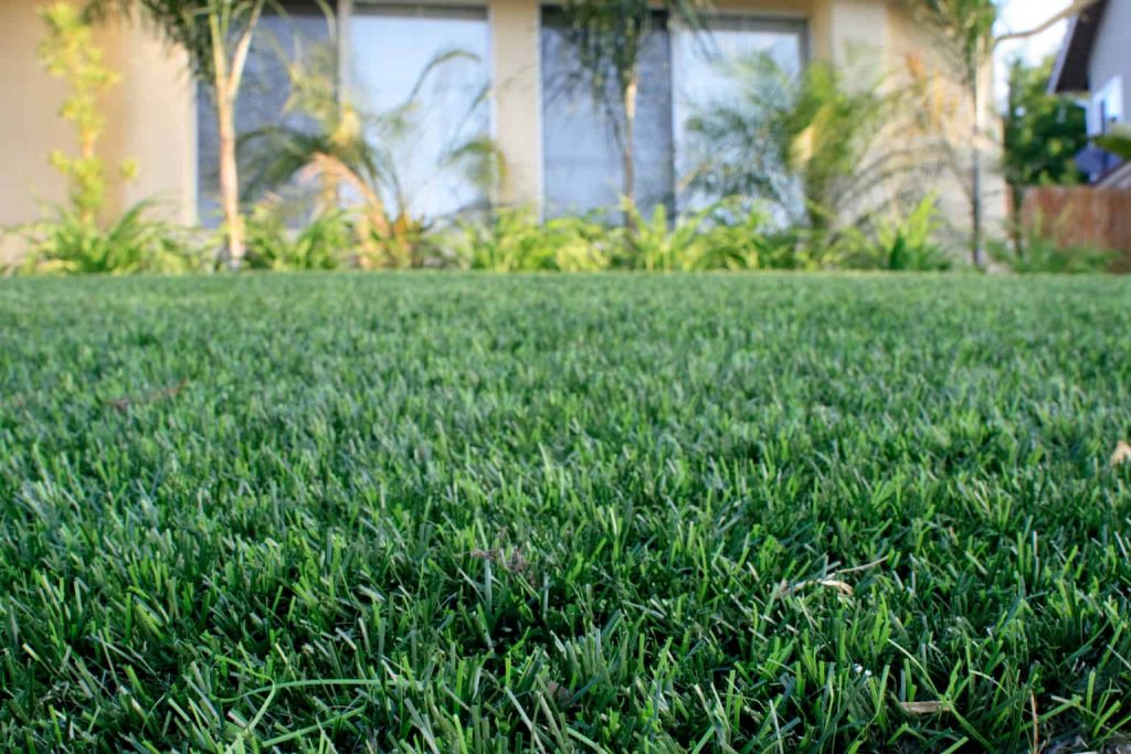 artificial turf maintenance